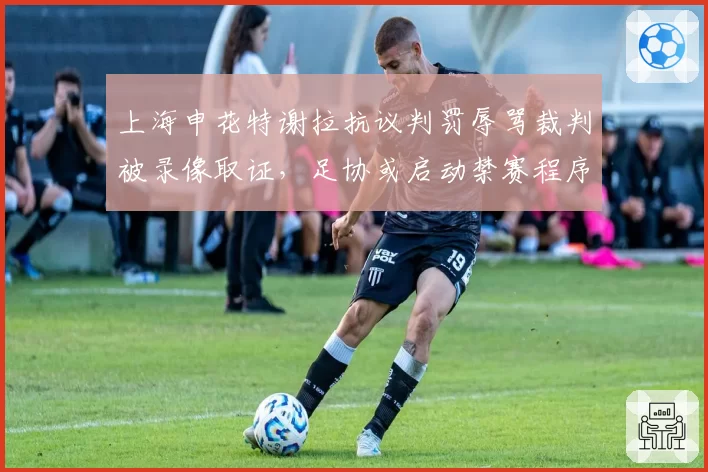 上海申花特谢拉抗议判罚辱骂裁判被录像取证，足协或启动禁赛程序