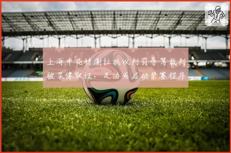 上海申花特谢拉抗议判罚辱骂裁判被录像取证，足协或启动禁赛程序