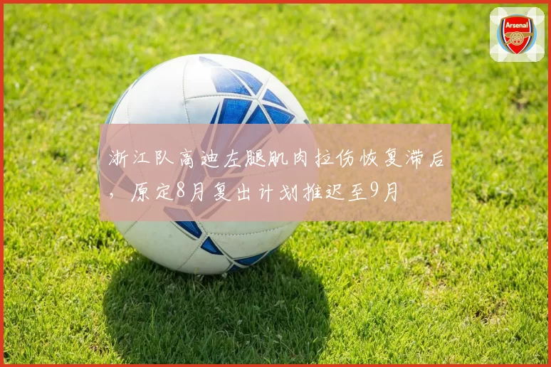 浙江队高迪左腿肌肉拉伤恢复滞后,原定8月复出计划推迟至9月